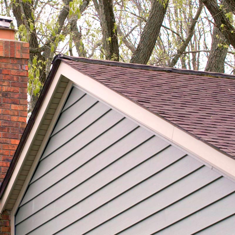 Siding Options and Materials 